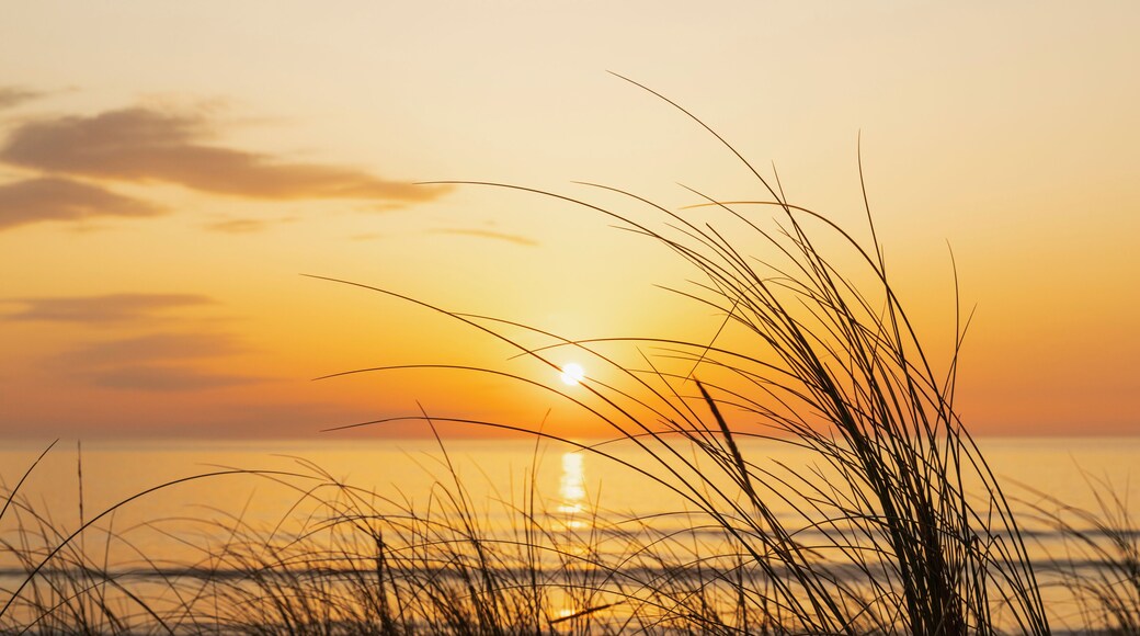 Sun setting over Atlantic Ocean with blades of grass in foreground