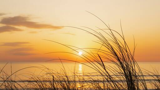 لاكانو أوشن