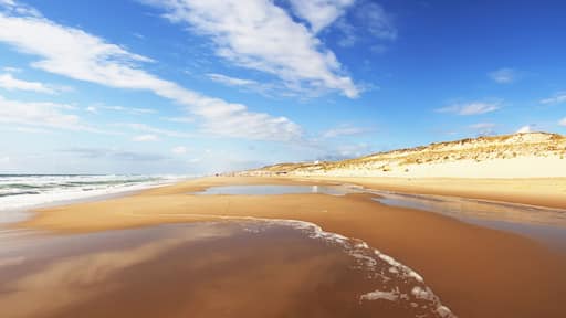 Ocean beach on the Atlantic coast of France near Lacanau-Ocean; Shutterstock ID 382281877; purchase_order: SP-1269 HA 2018 Batch 1; Order: ; client: ; other: