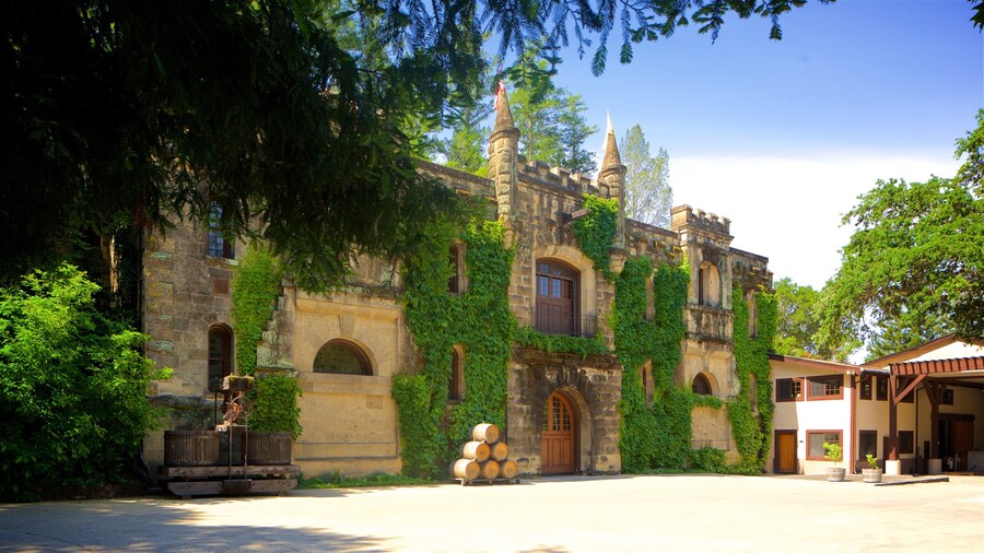Entreprise vinicole Chateau Montelena montrant éléments du patrimoine