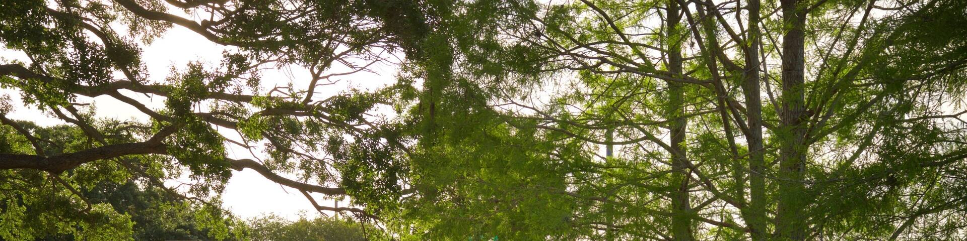 Senator Beth Johnson Park showing a pond and a park