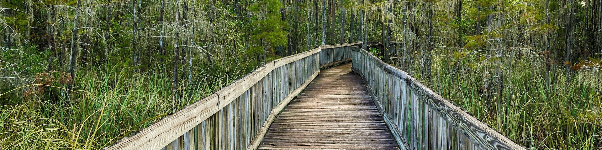 A hidden gem among all the typical Disney schmultz, this nature preserve is a perfect, peaceful getaway. There are several miles of trail, some are closed because of flood conditions, and a couple sections of boardwalk planks. There is a great variety of terrain from sawgrass marshes to pine flatwoods, bay swamp and oak hammock. The Fallen Log Crossing and Osprey Overlook trails are the must see parts of the preserve. You might luck out and see an osprey or eagle, or even a gopher tortoise. It's just a magical slice of heaven here in Central Florida that makes you forget you are just a few miles from the craziness of Disney and Universal. #LocalSecrets #KidsFun #NatureWalk