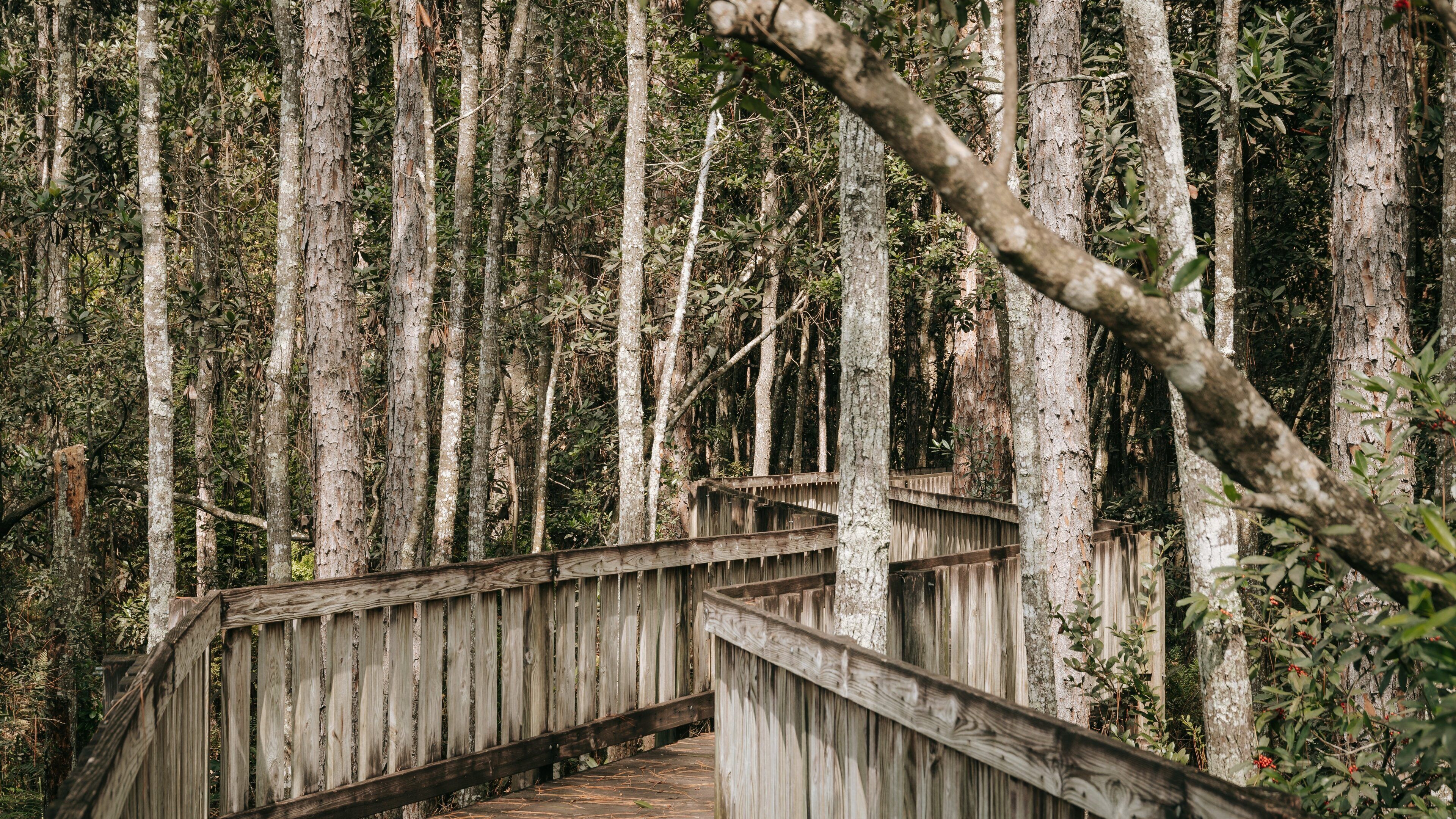 Tibet Butler Preserve which includes forests