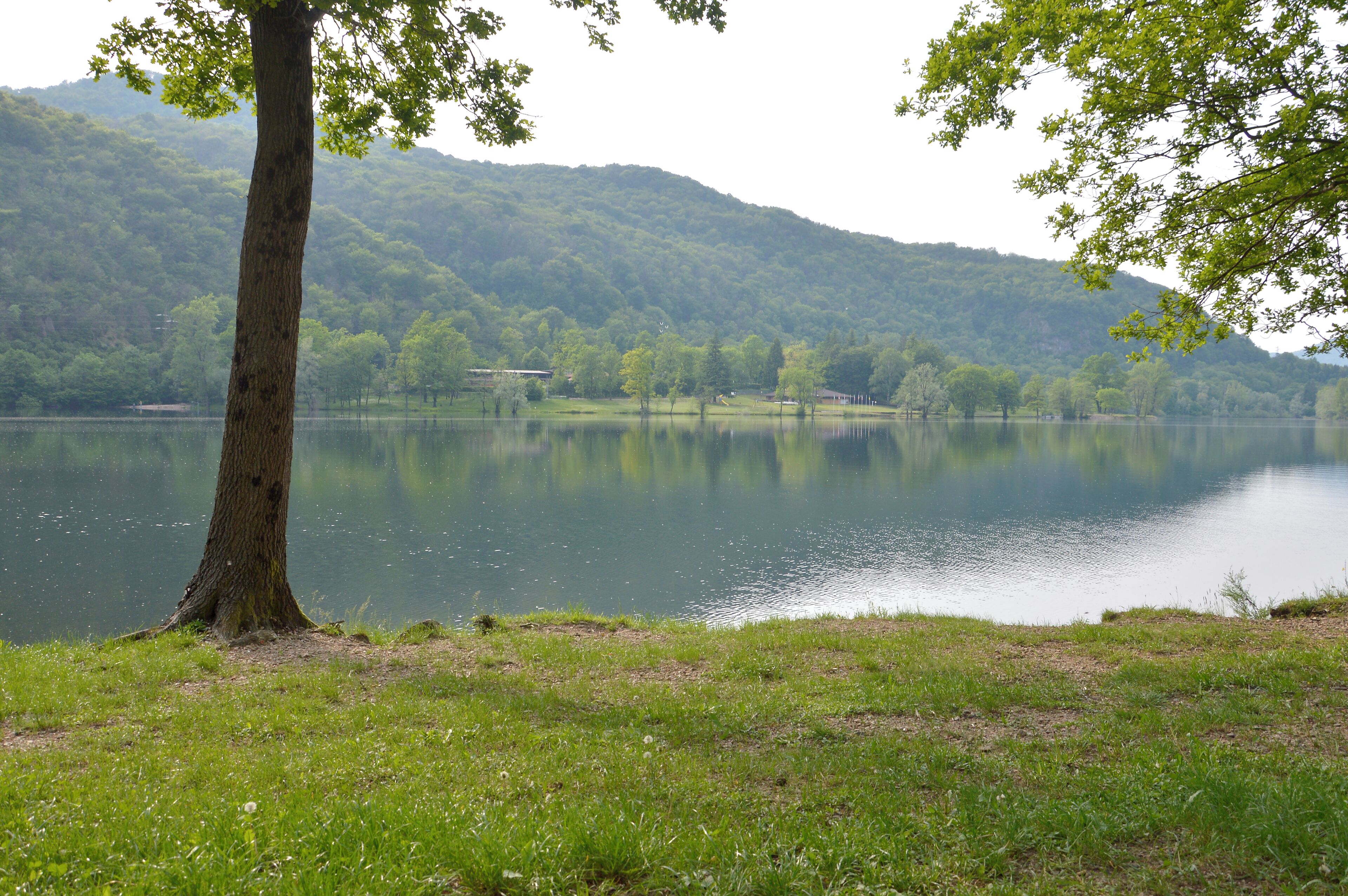 Riserva naturale Lago di Ganna (Q3936609)