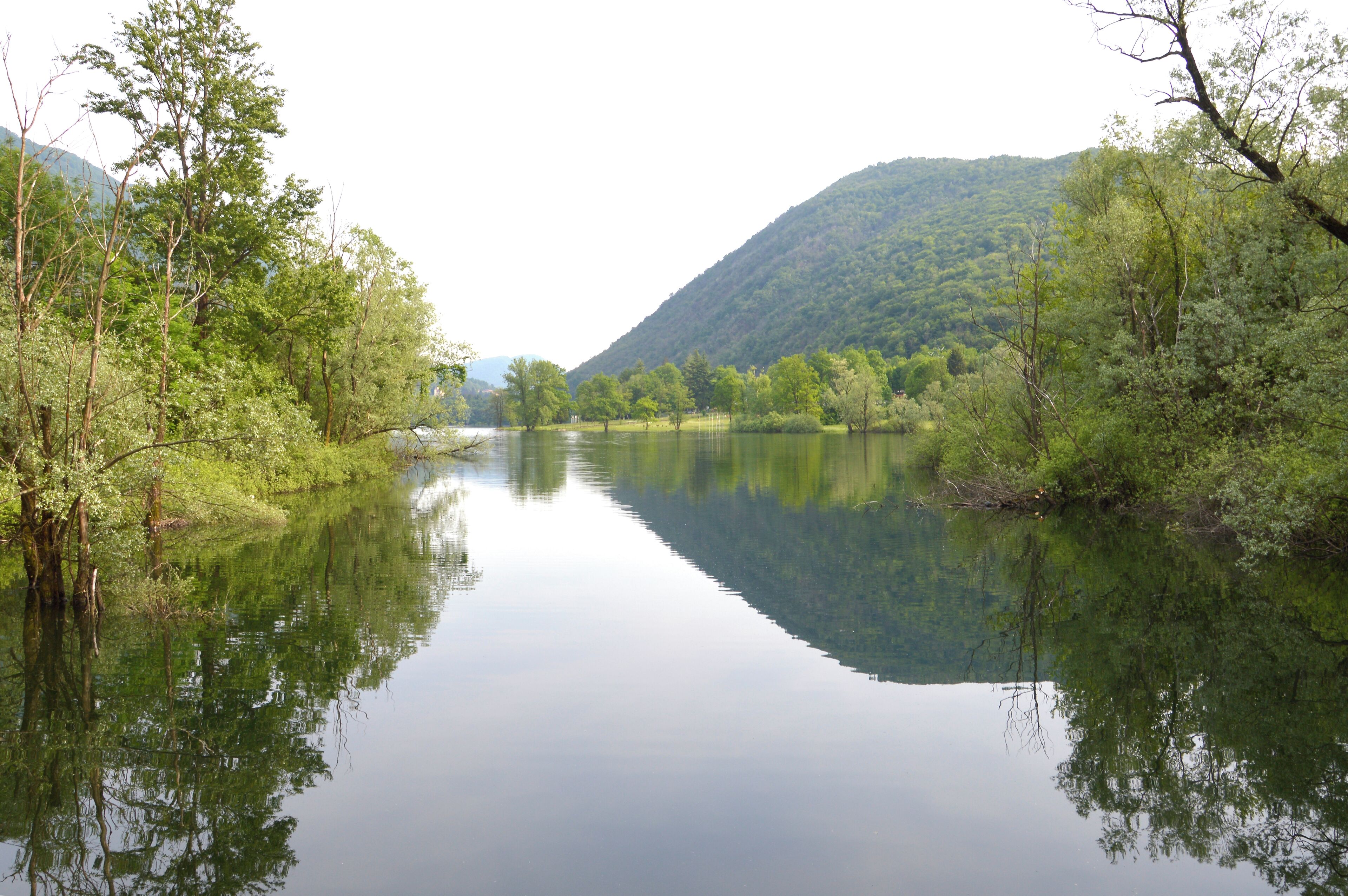 Riserva naturale Lago di Ganna (Q3936609)
