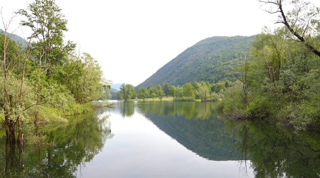 Riserva naturale Lago di Ganna (Q3936609)