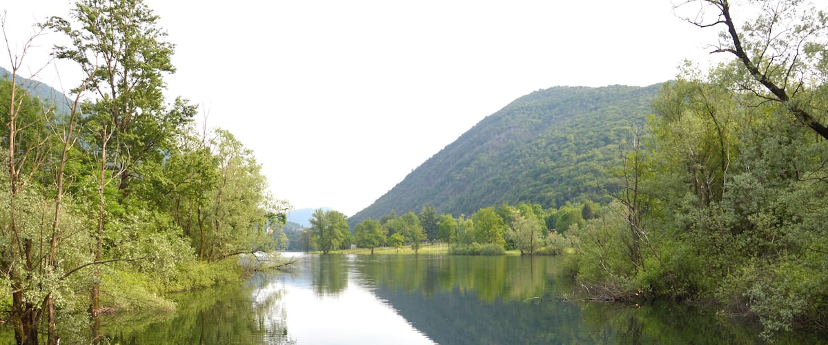 A calm river surrounded by dense green forest and hills.