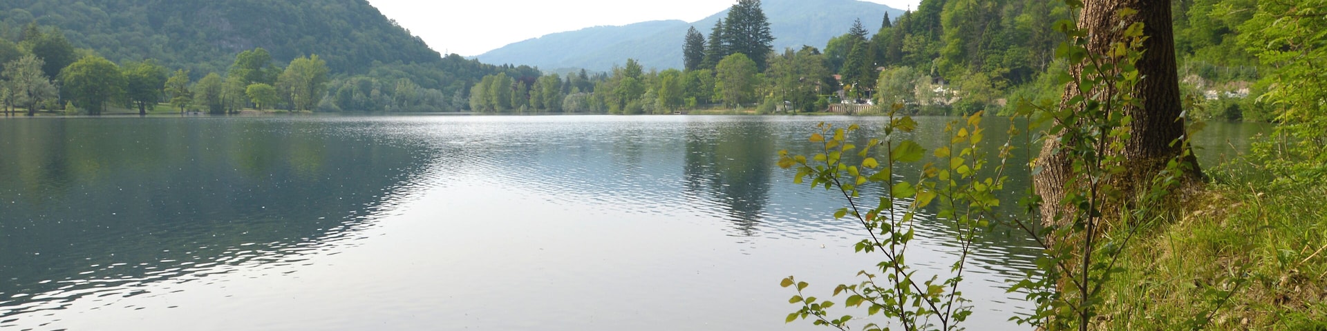 Riserva naturale Lago di Ganna (Q3936609)