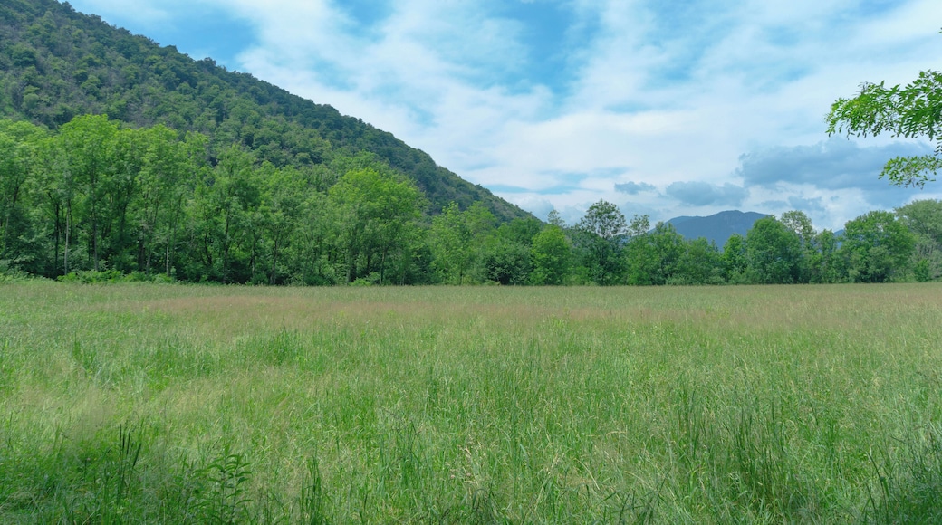 Parco regionale Campo dei Fiori (Q3895722)