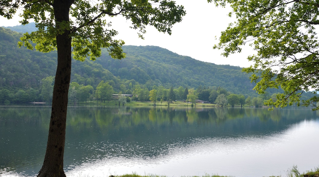 Riserva naturale Lago di Ganna (Q3936609)