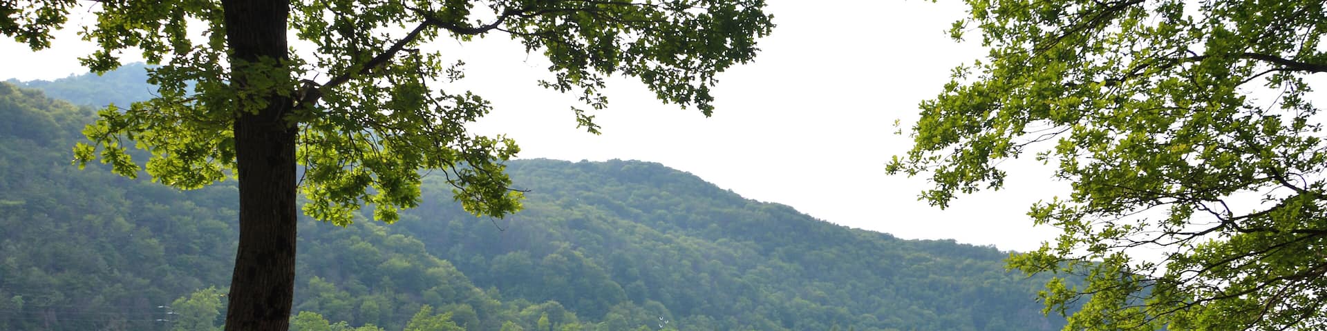 Riserva naturale Lago di Ganna (Q3936609)