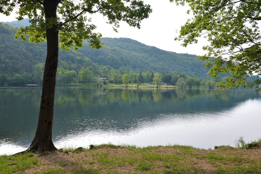 Riserva naturale Lago di Ganna (Q3936609)