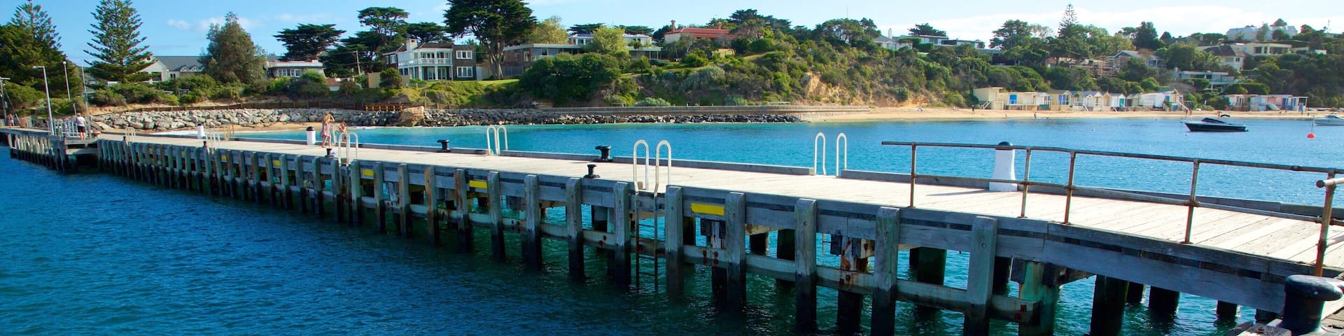 Portsea Pier showing general coastal views