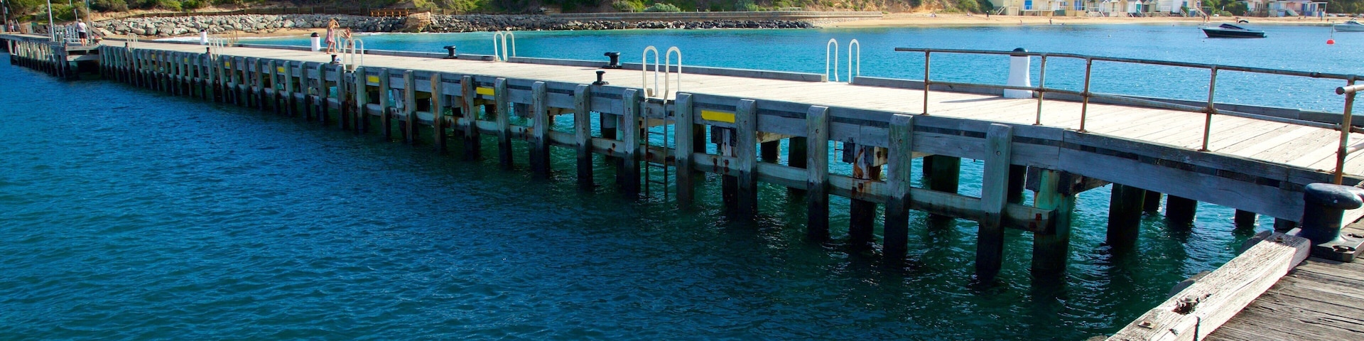 Portsea Pier showing general coastal views