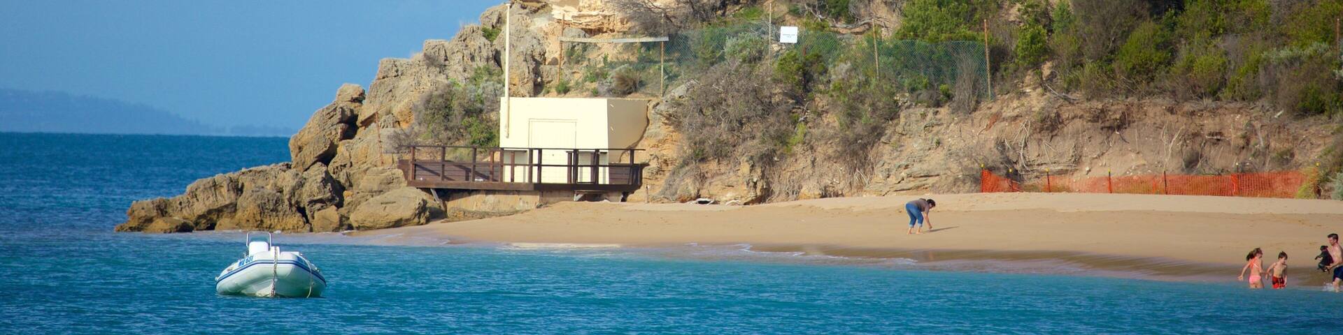 Portsea Pier which includes a beach