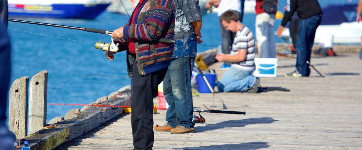 Portsea Pier showing fishing as well as a large group of people