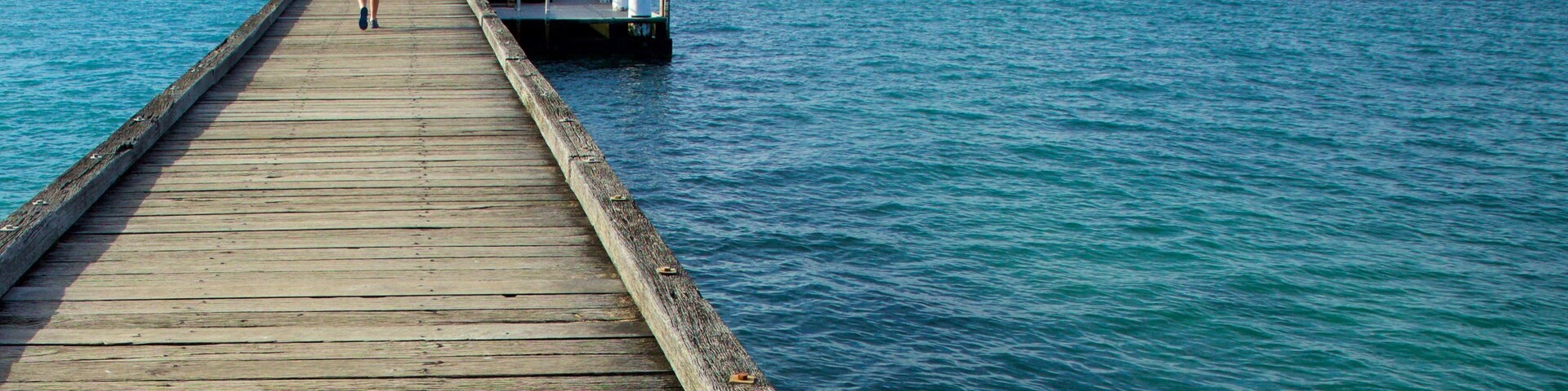 Portsea Pier mostrando paisagens litorâneas