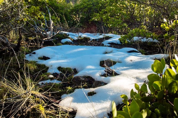 On HWY 32 Between Chico and Lake Almanor.
#WinterWonders