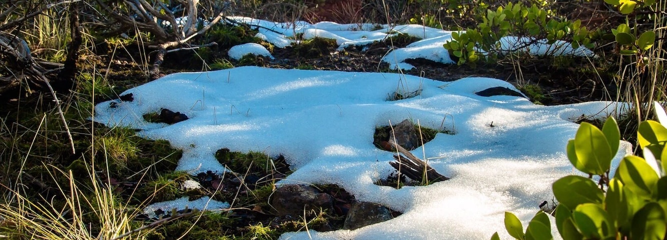 On HWY 32 Between Chico and Lake Almanor.
#WinterWonders