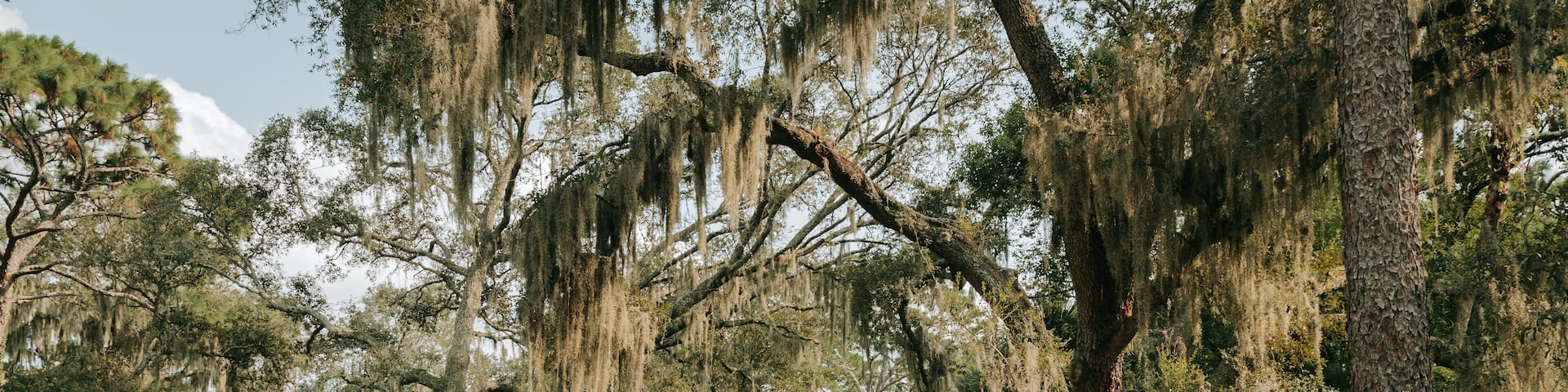 Mead Garden which includes a park