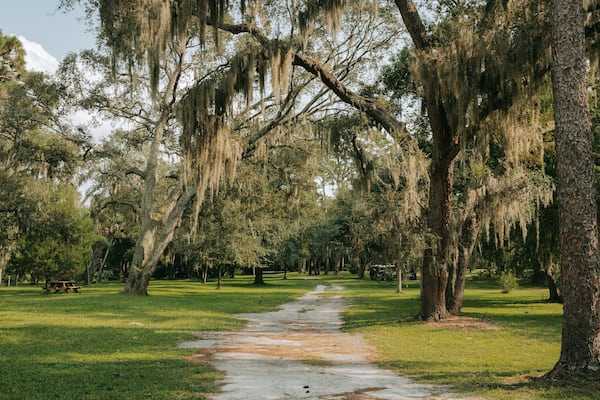 Mead Garden which includes a park