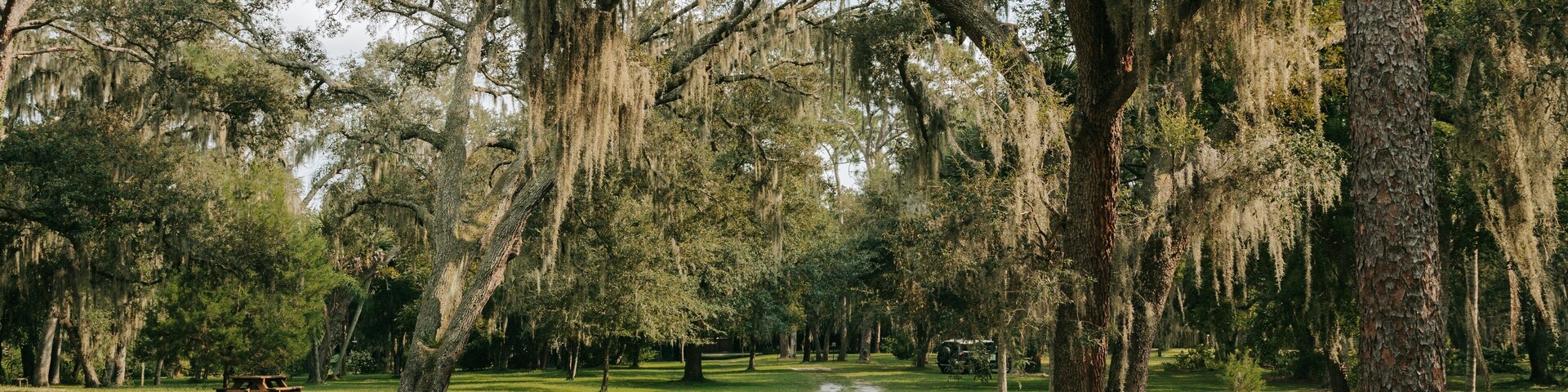 Mead Garden which includes a park