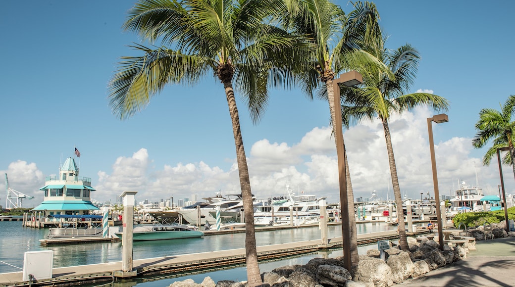 Jachthaven van Miami Beach