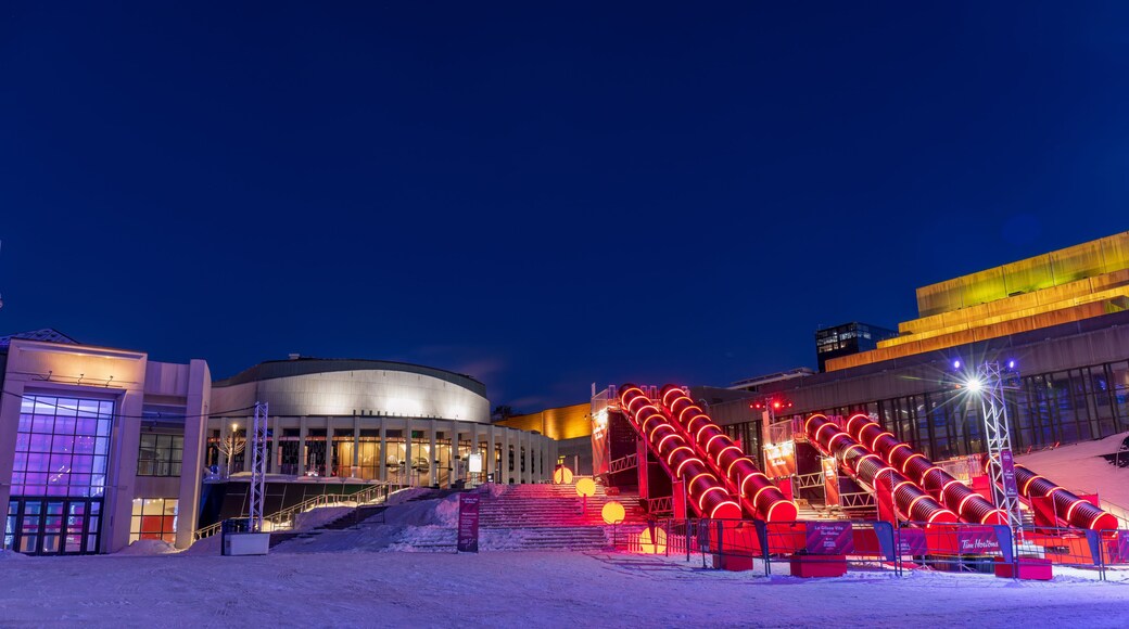the Montreal en lumière festival attracts tourists to the Cartier Des Spectacles who can skate on the high skating rink and slide down the steps of Place Des Arts