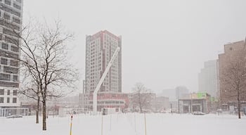 Quartier des Spectacles