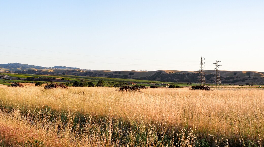 Livermore Valley Wine Country