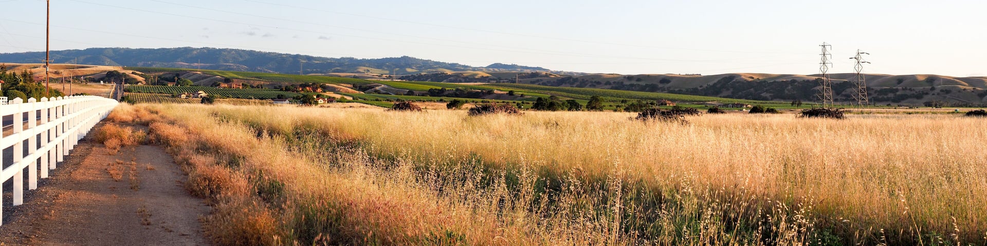 A rural landscape with a dirt path, rolling hills, and power lines.