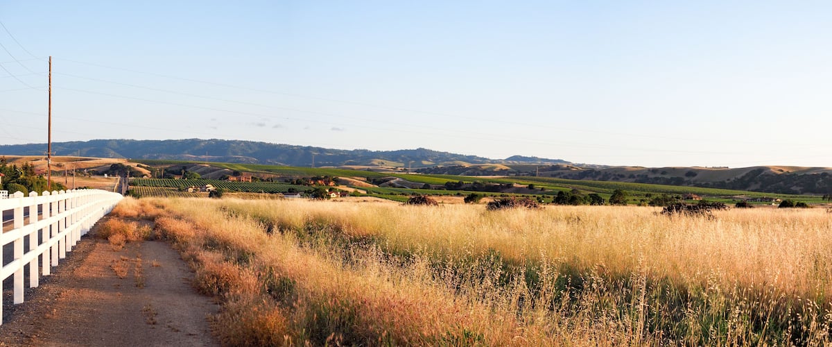 A rural landscape with a dirt path, rolling hills, and power lines.