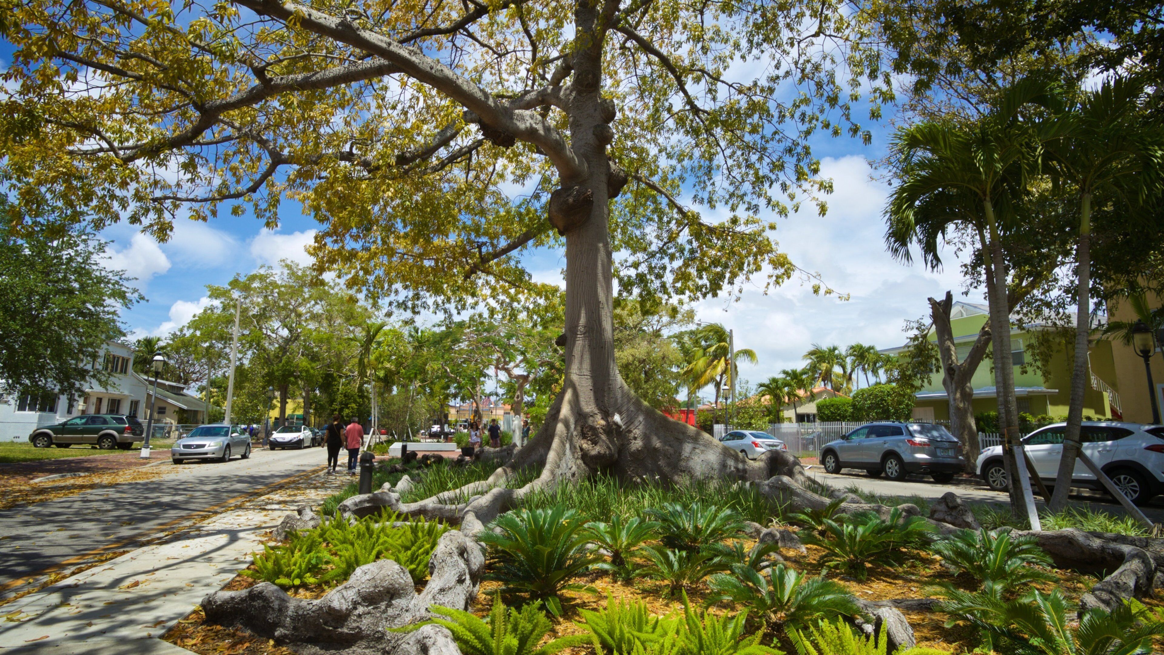 Cuban Memorial Boulevard showing a park