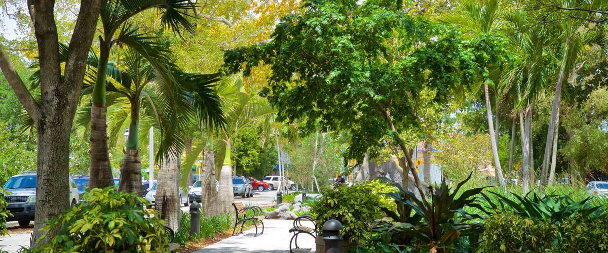 Cuban Memorial Boulevard showing a park