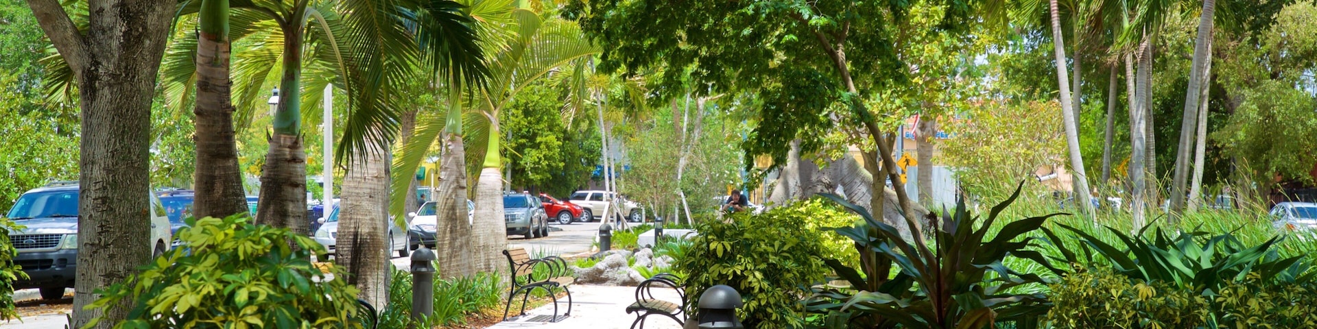 Cuban Memorial Boulevard showing a park