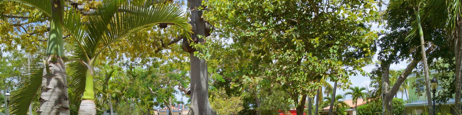 Cuban Memorial Boulevard which includes a garden