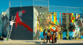 Wynwood Art District som viser udendørs kunst såvel som en lille gruppe mennesker