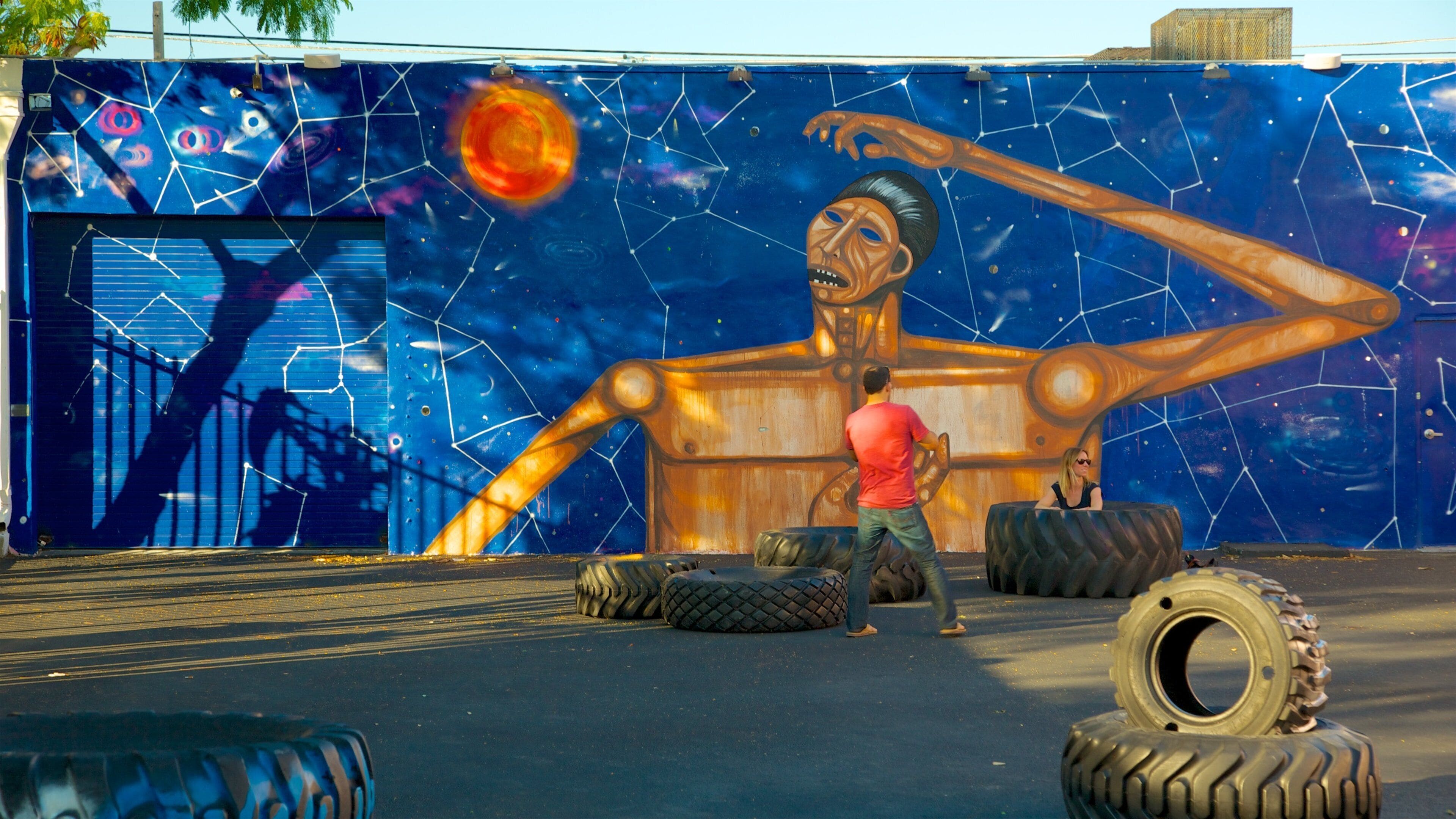 Wynwood Art District featuring outdoor art as well as an individual male