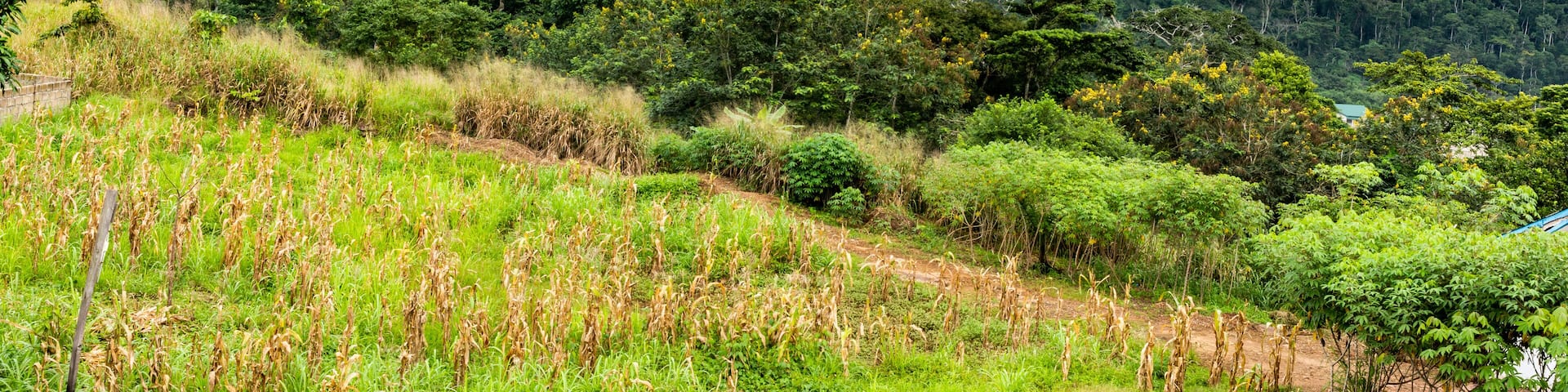 Kwahu Mountains in Nkofieho, Ghana