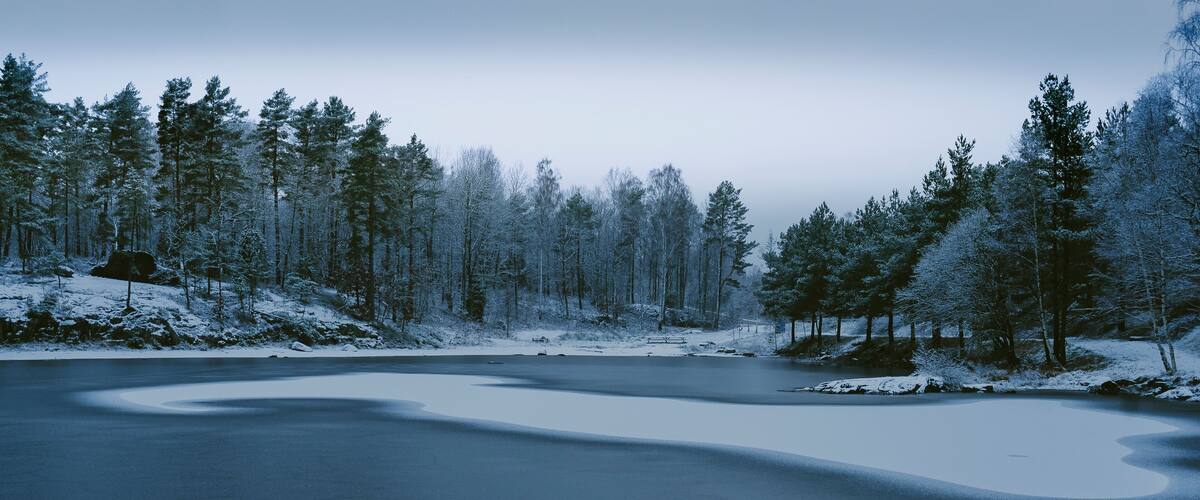 A frozen lake surrounded by snow-covered trees.