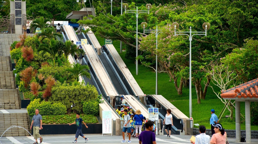 海洋博公園 及び 大勢の人々