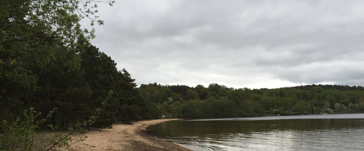 A sandy beach with a calm lake, surrounded by dense trees and a cloudy sky.