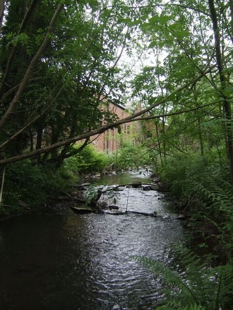River Stour upstream at Hayseech The river flows past the gun barrel works.