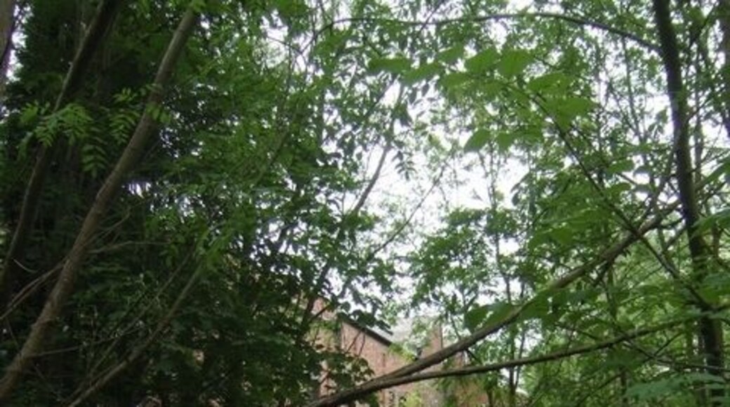 River Stour upstream at Hayseech The river flows past the gun barrel works.