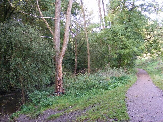River Path The path alongside the River Stour in the Congreaves Nature Reserve.