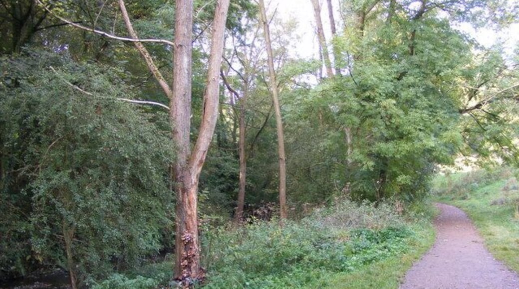 River Path The path alongside the River Stour in the Congreaves Nature Reserve.