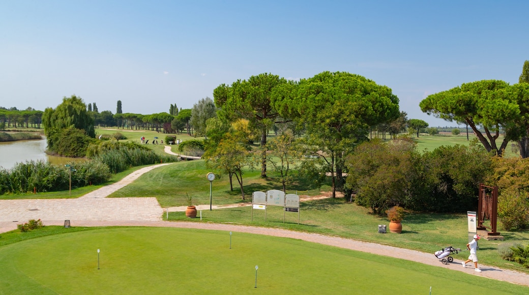 Adriatic Golf Club Cervia showing landscape views and golf