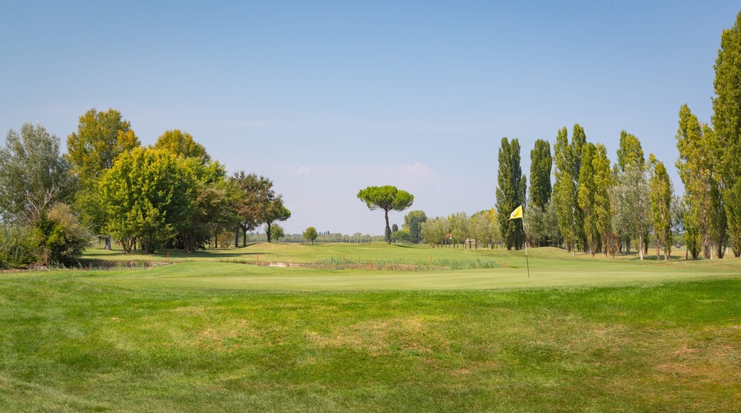 Adriatic Golf Club Cervia featuring golf