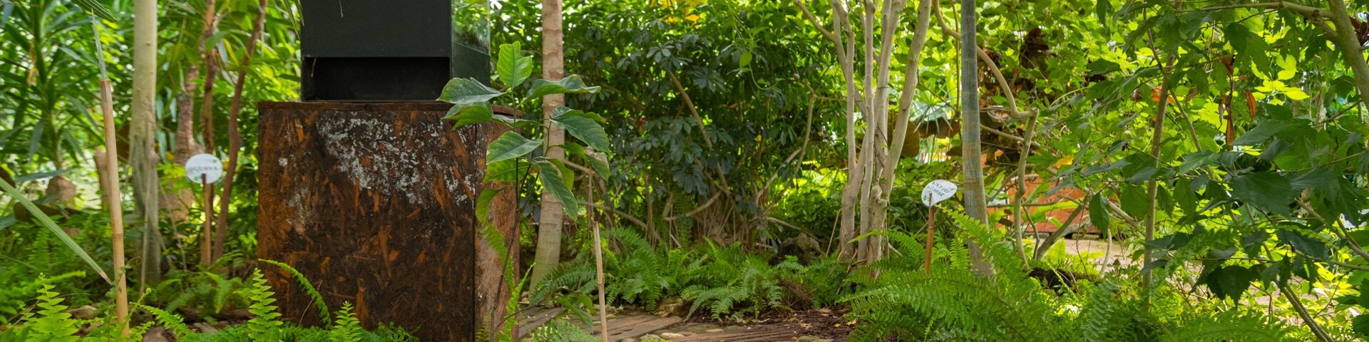 Casa delle Farfalle showing a park
