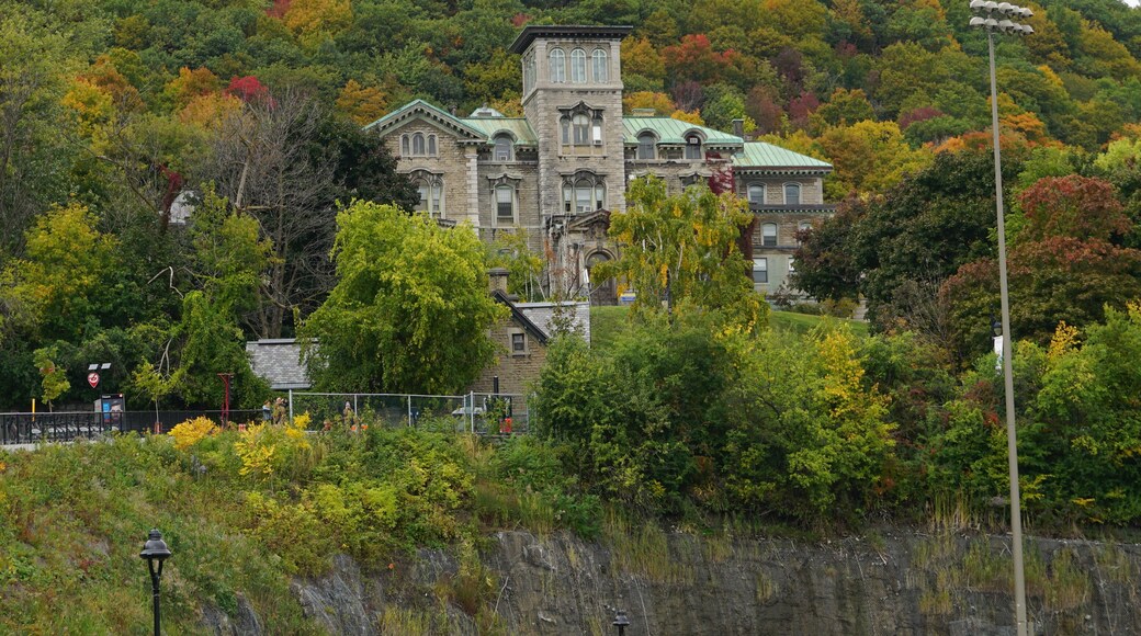 Royal Victoria sykehus